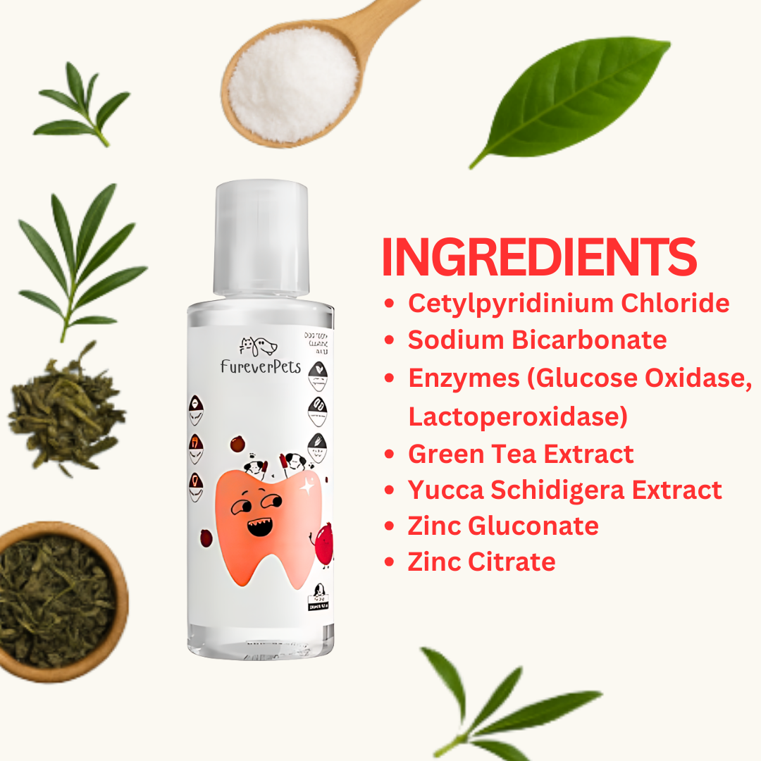 Protect your dog from Gum Disease and Dental Emergencies with FureverPets