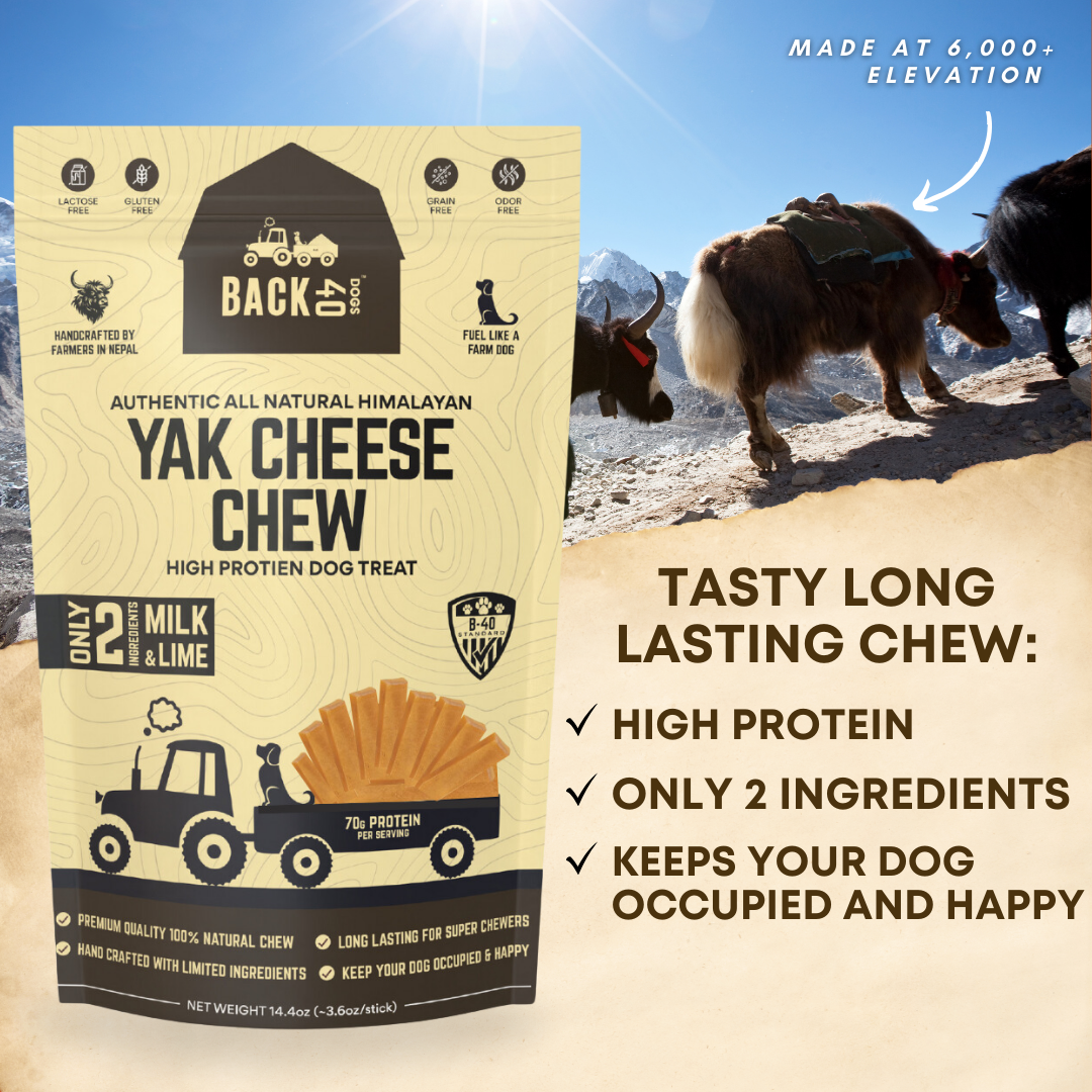 YAK CHEESE HIMALAYAN DOG CHEWS