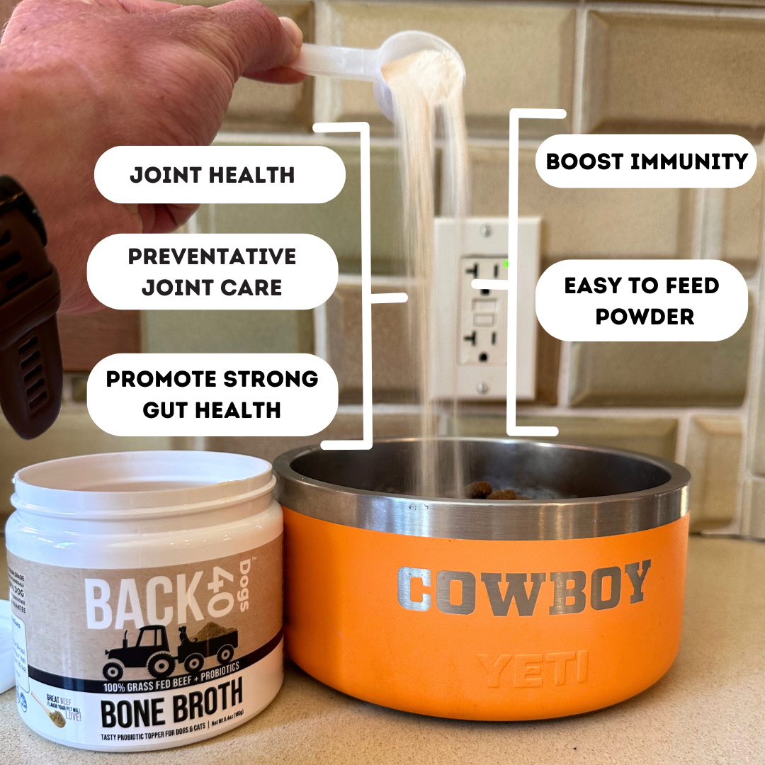BONE BROTH PROBIOTIC