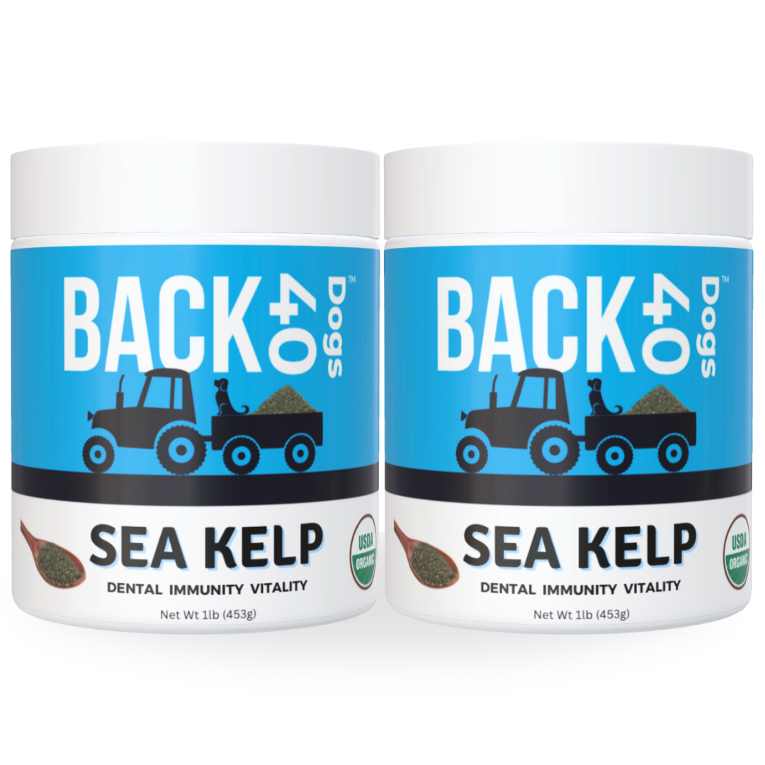KELP SUPPLEMENT