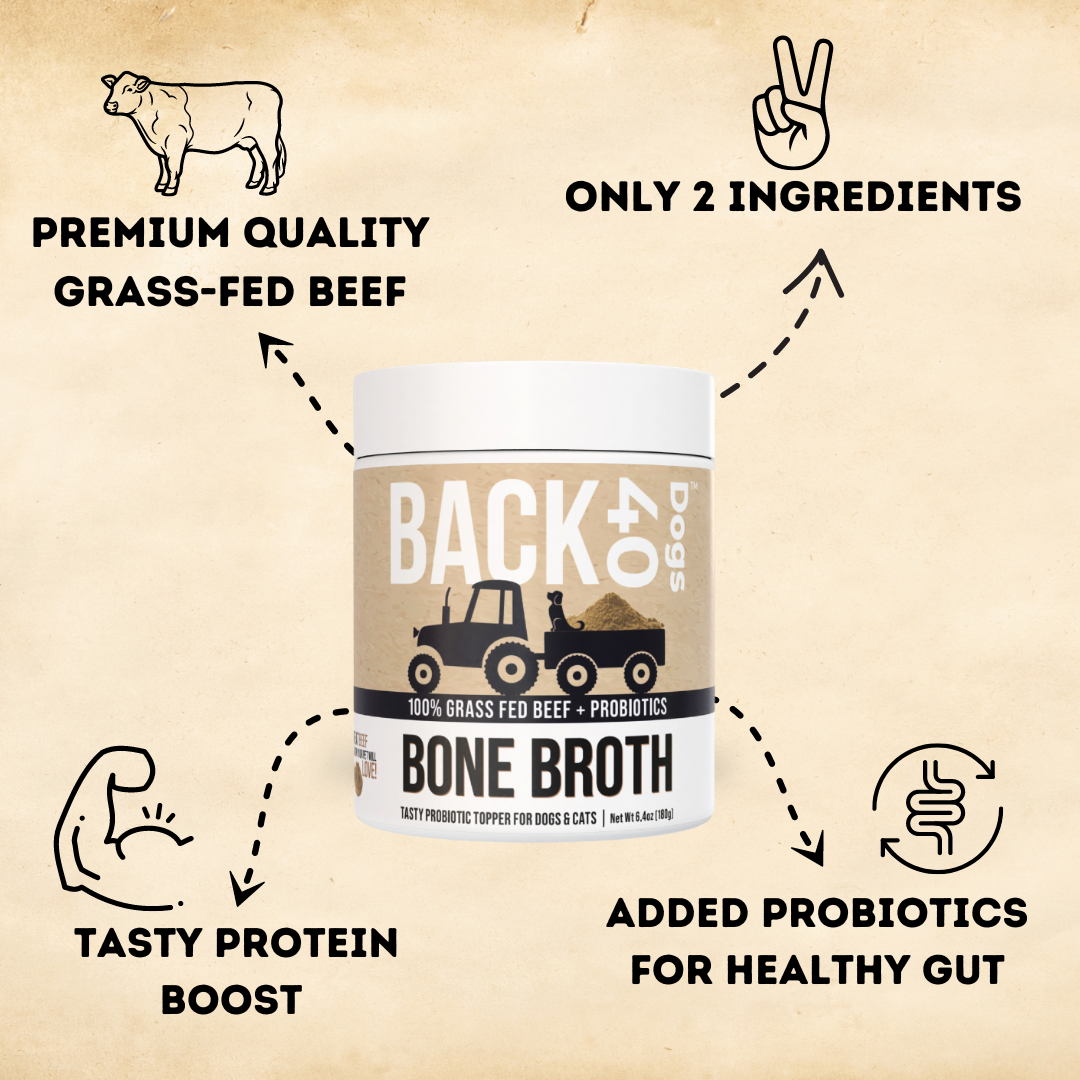 BONE BROTH PROBIOTIC