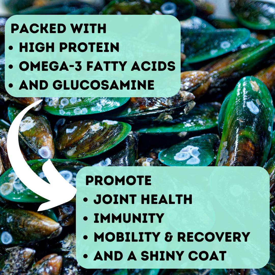 Freeze-Dried Green Lipped Mussels Bundles
