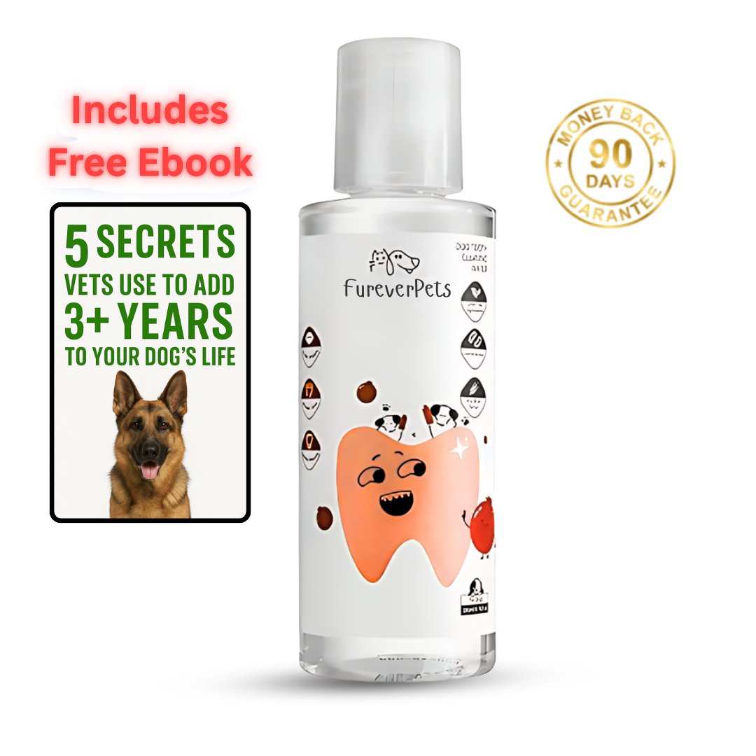 Protect your dog from Gum Disease and Dental Emergencies with FureverPets