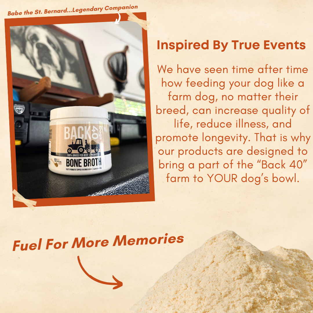 BONE BROTH PROBIOTIC