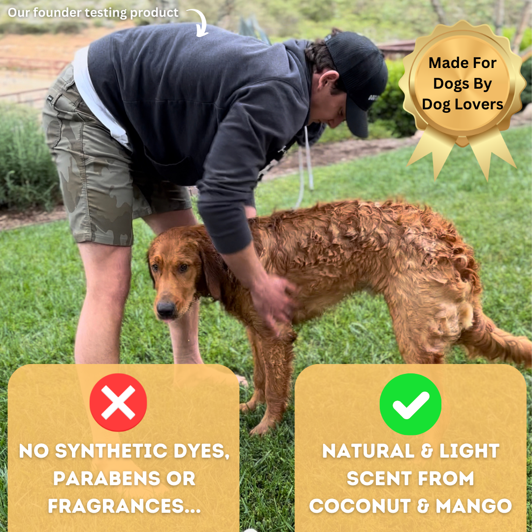 No. 40 Premium 6 in 1 Dog Shampoo
