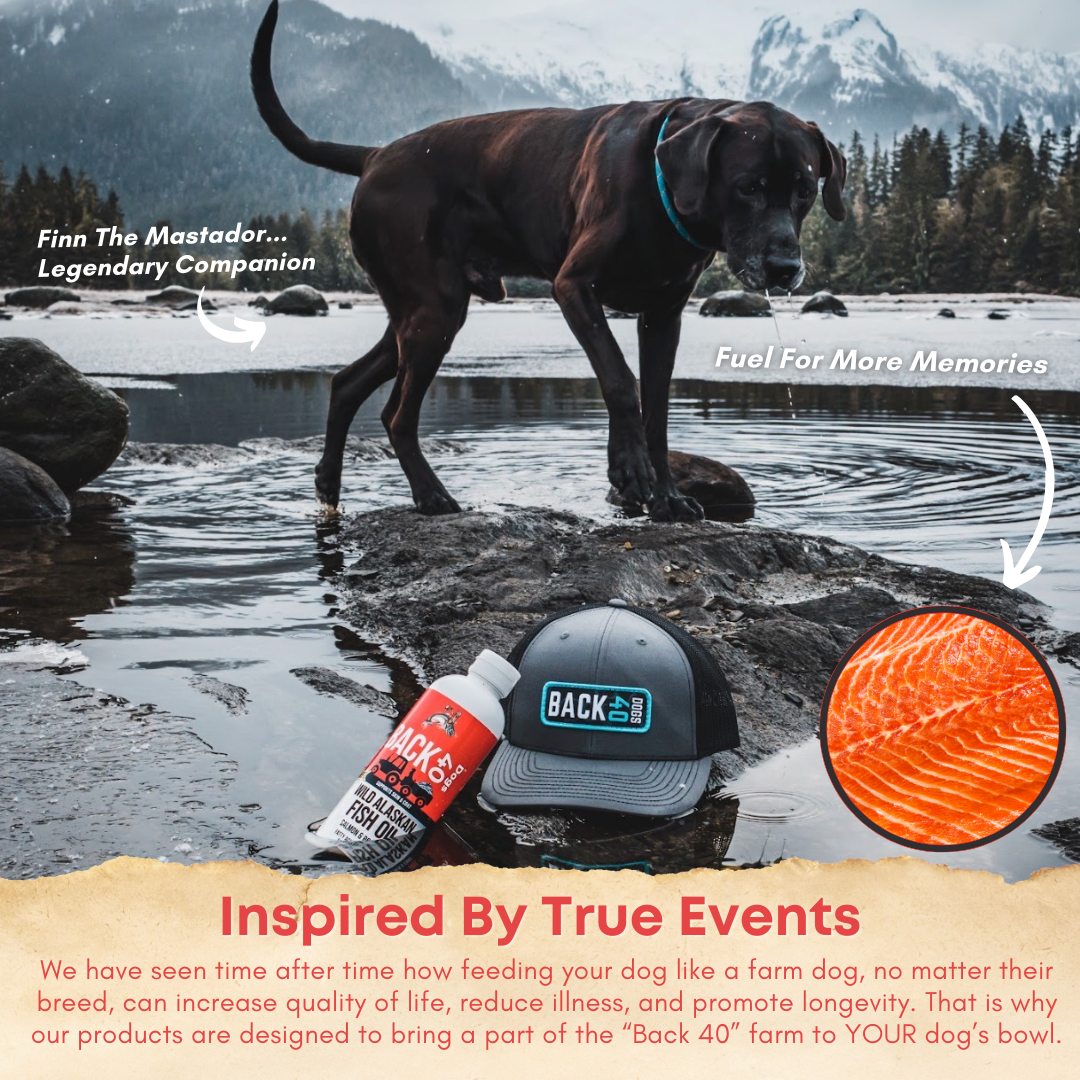 WILD ALASKAN FISH OIL