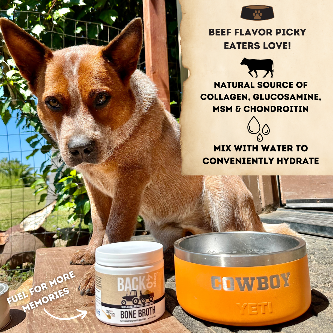 BONE BROTH PROBIOTIC