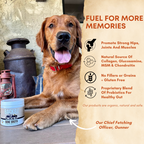 BONE BROTH PROBIOTIC
