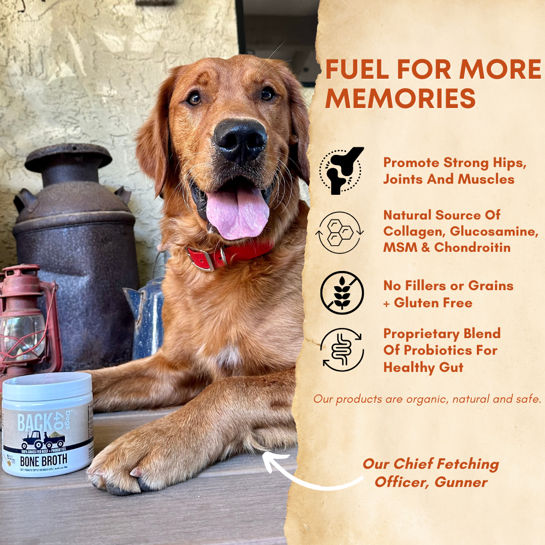 BONE BROTH PROBIOTIC