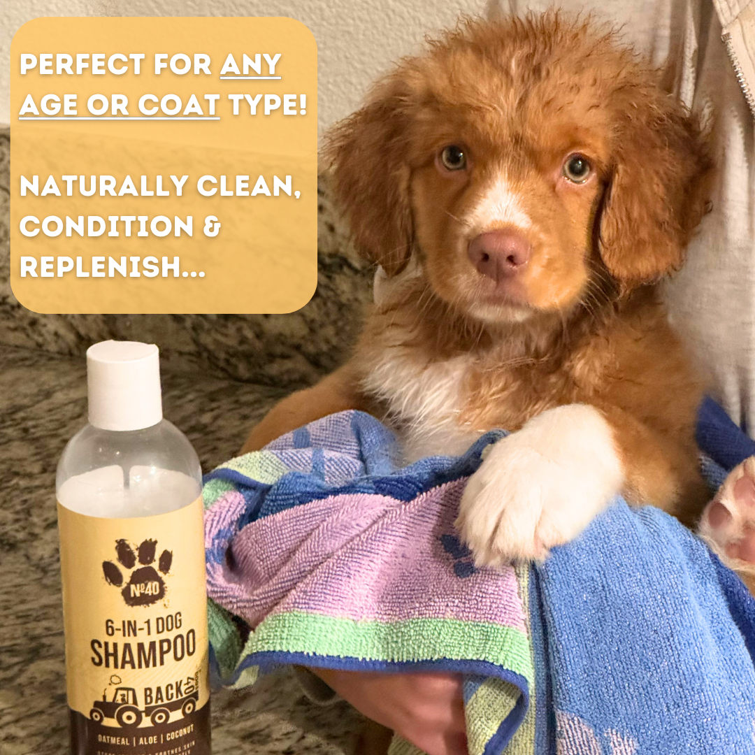 No. 40 Premium 6 in 1 Dog Shampoo