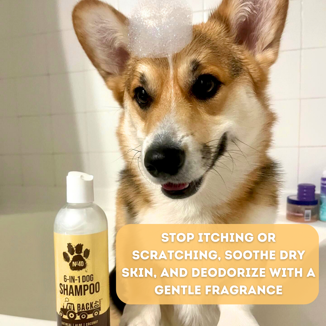 No. 40 Premium 6 in 1 Dog Shampoo