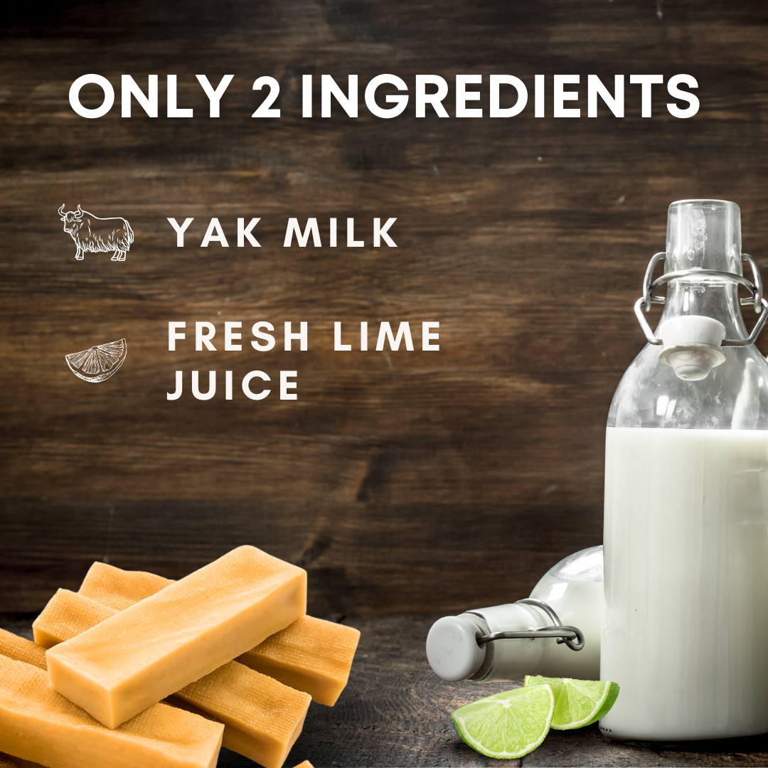 YAK CHEESE HIMALAYAN DOG CHEWS