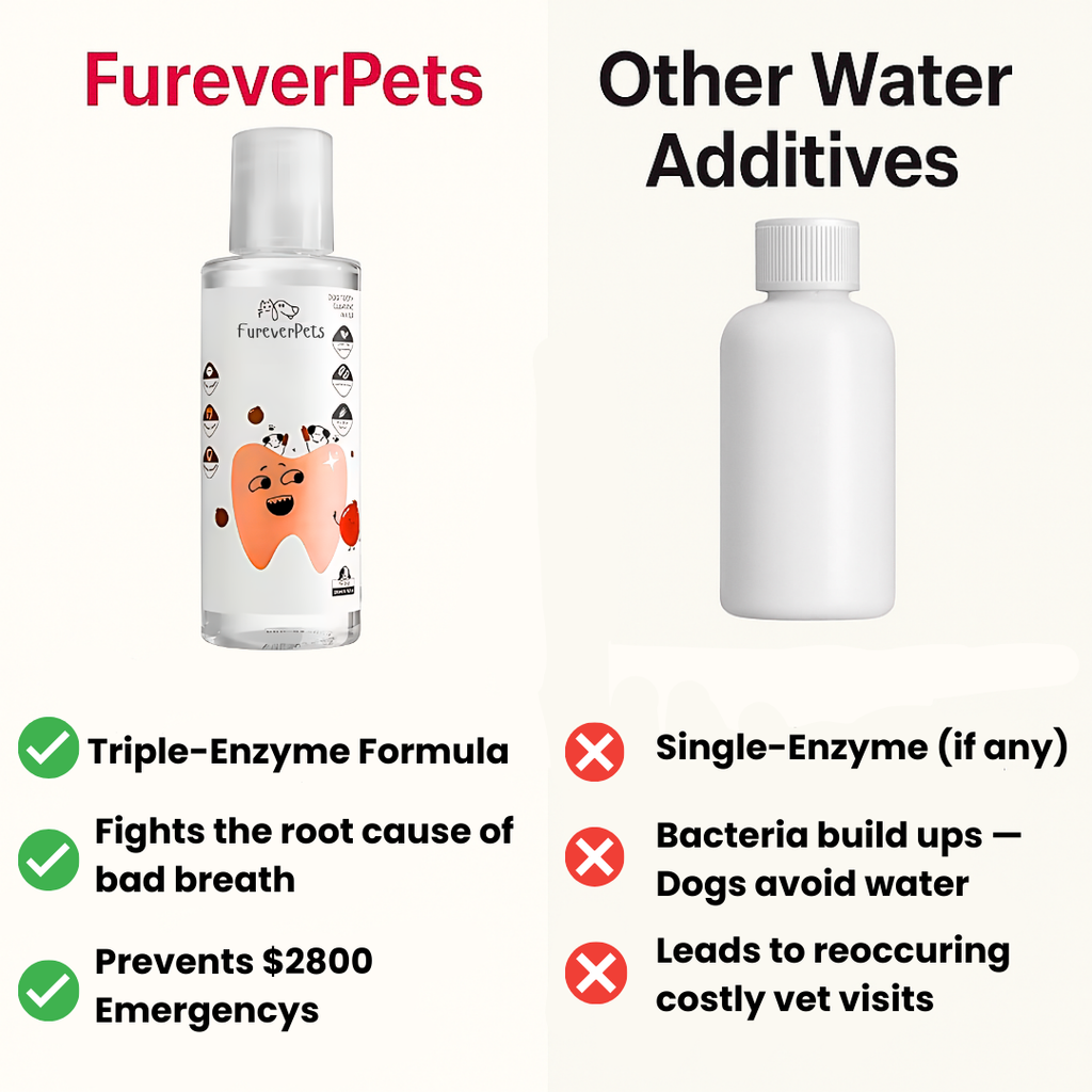 Protect your dog from Gum Disease and Dental Emergencies with FureverPets