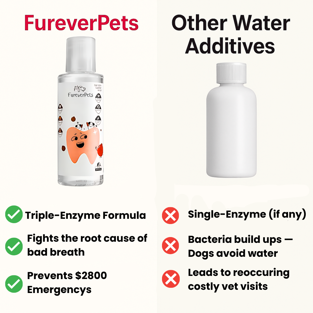 Protect your dog from Gum Disease and Dental Emergencies with FureverPets