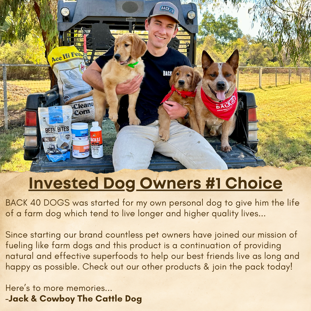 YAK CHEESE HIMALAYAN DOG CHEWS