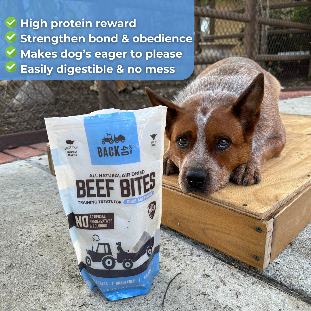 BEEF BITES
