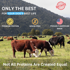 BEEF BITES