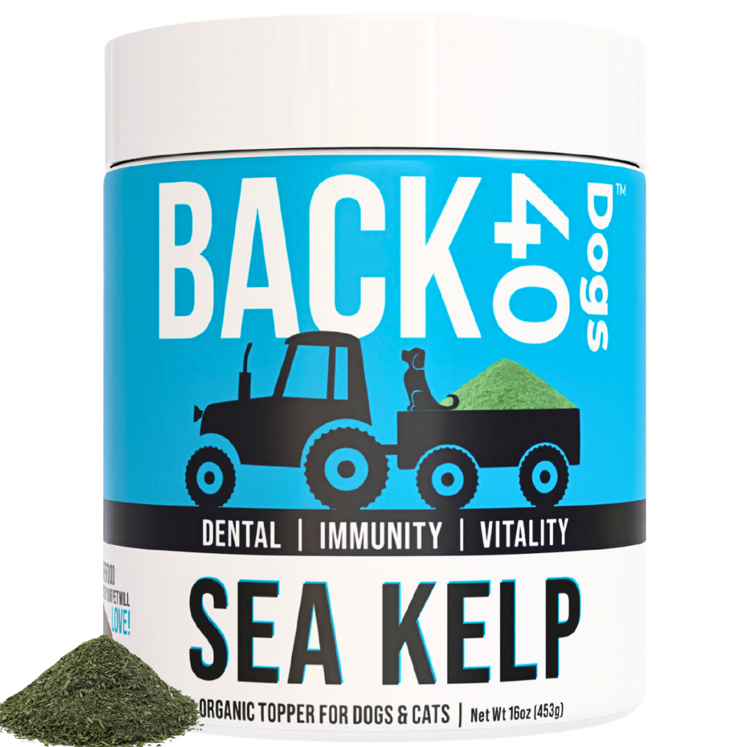 KELP SUPPLEMENT