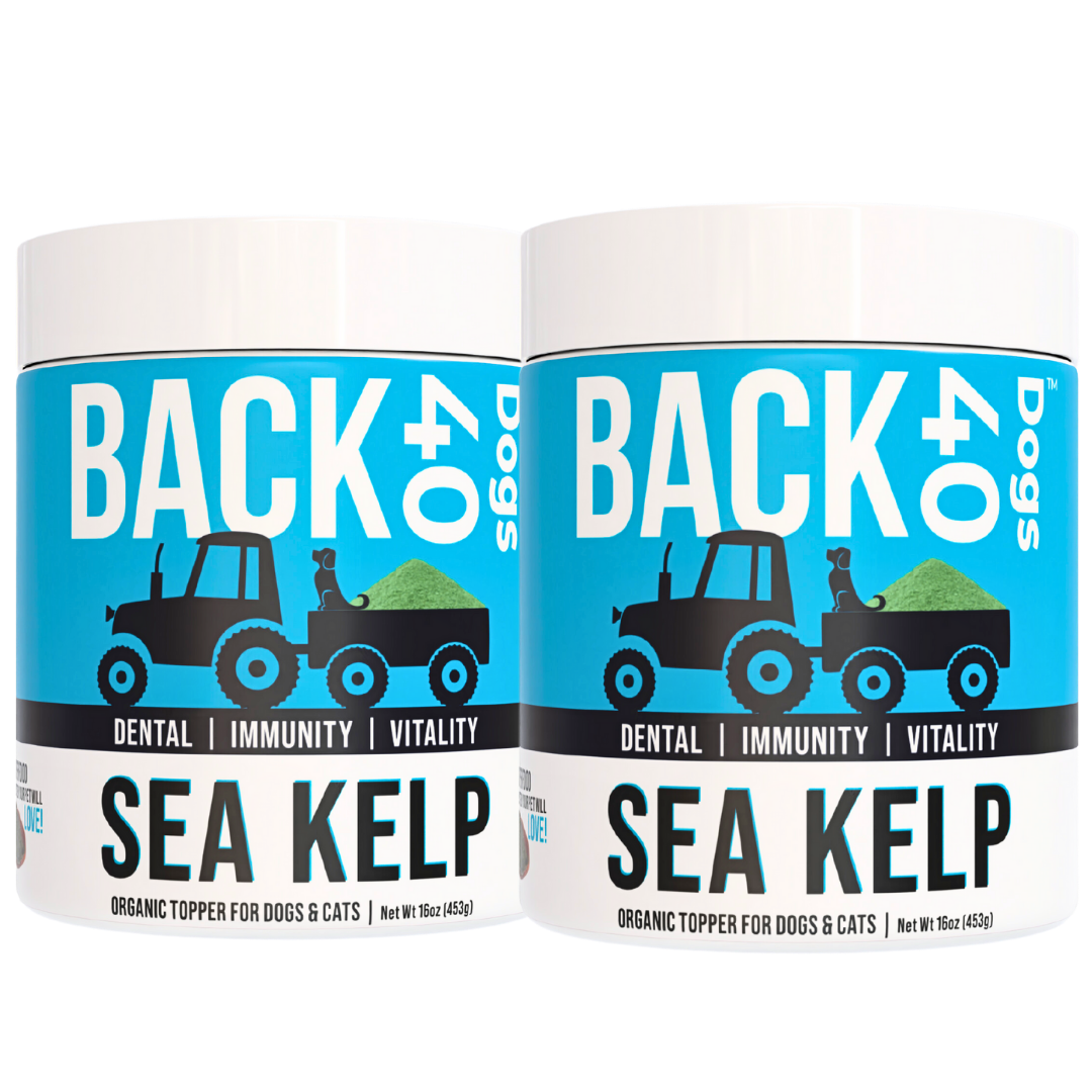 KELP SUPPLEMENT