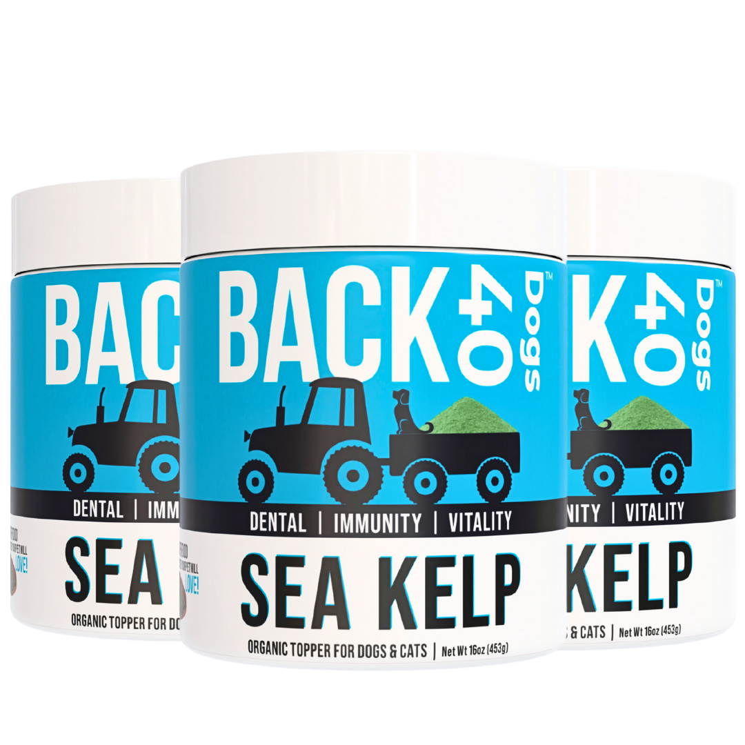KELP SUPPLEMENT