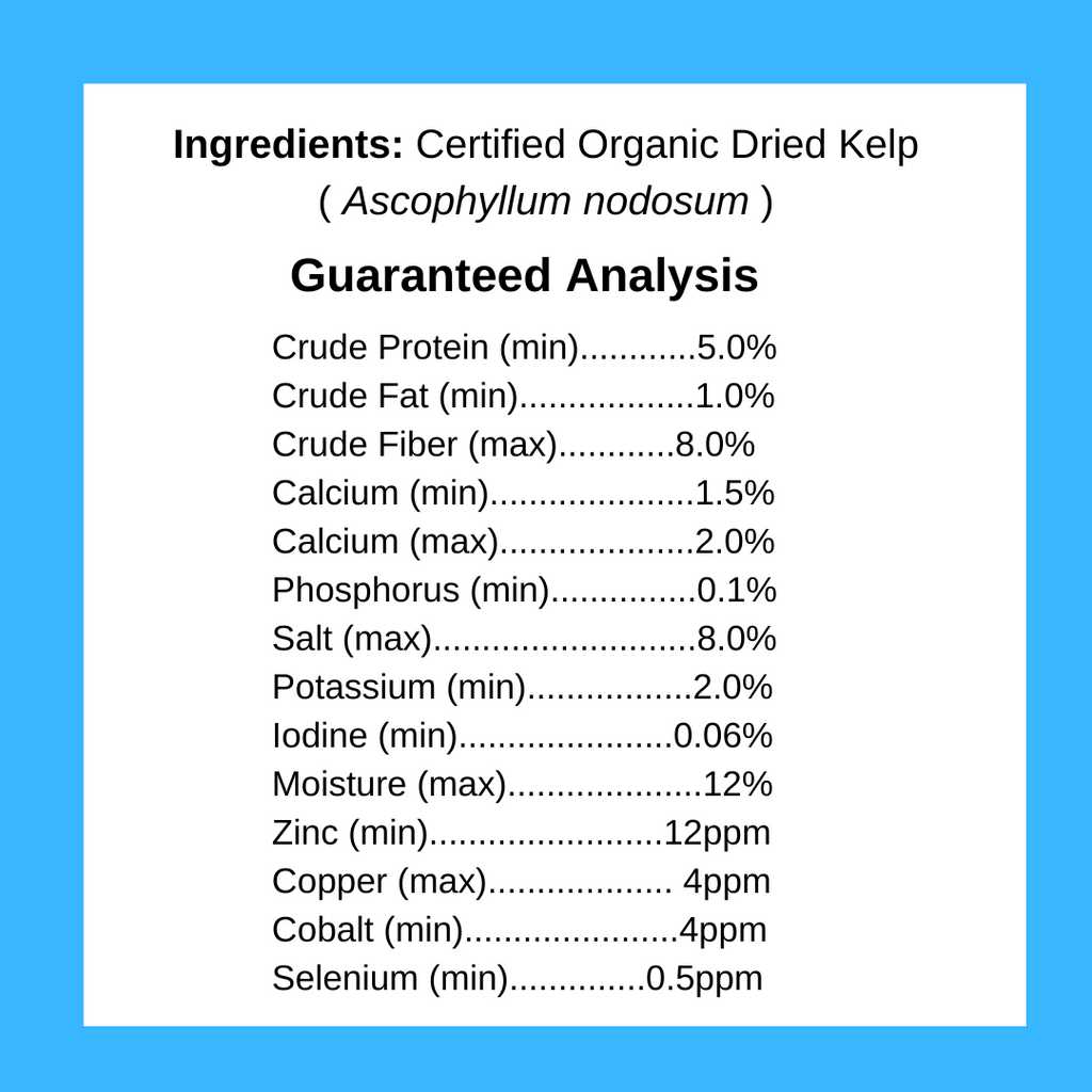 KELP SUPPLEMENT