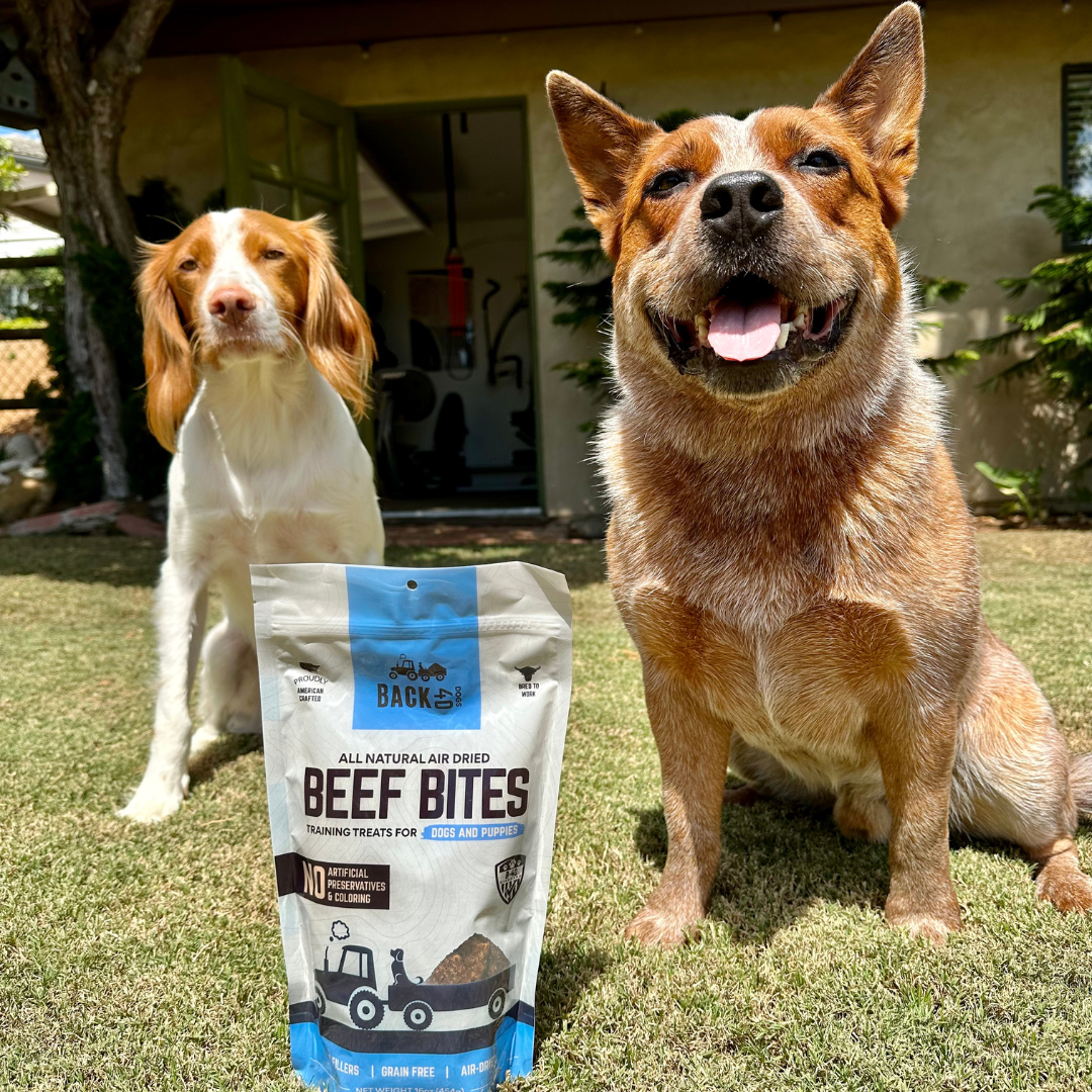 BEEF BITES