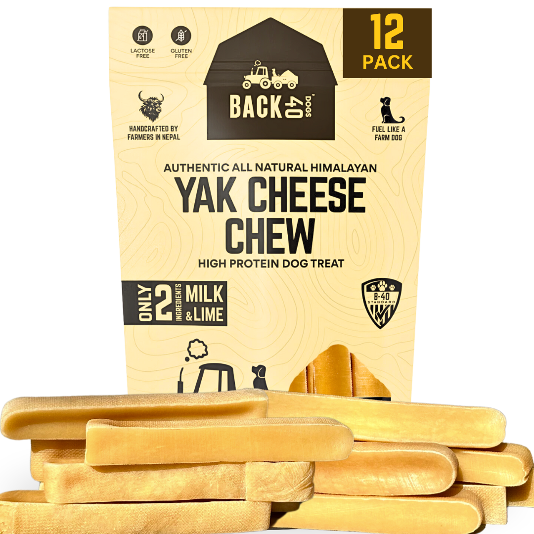 YAK CHEESE HIMALAYAN DOG CHEWS