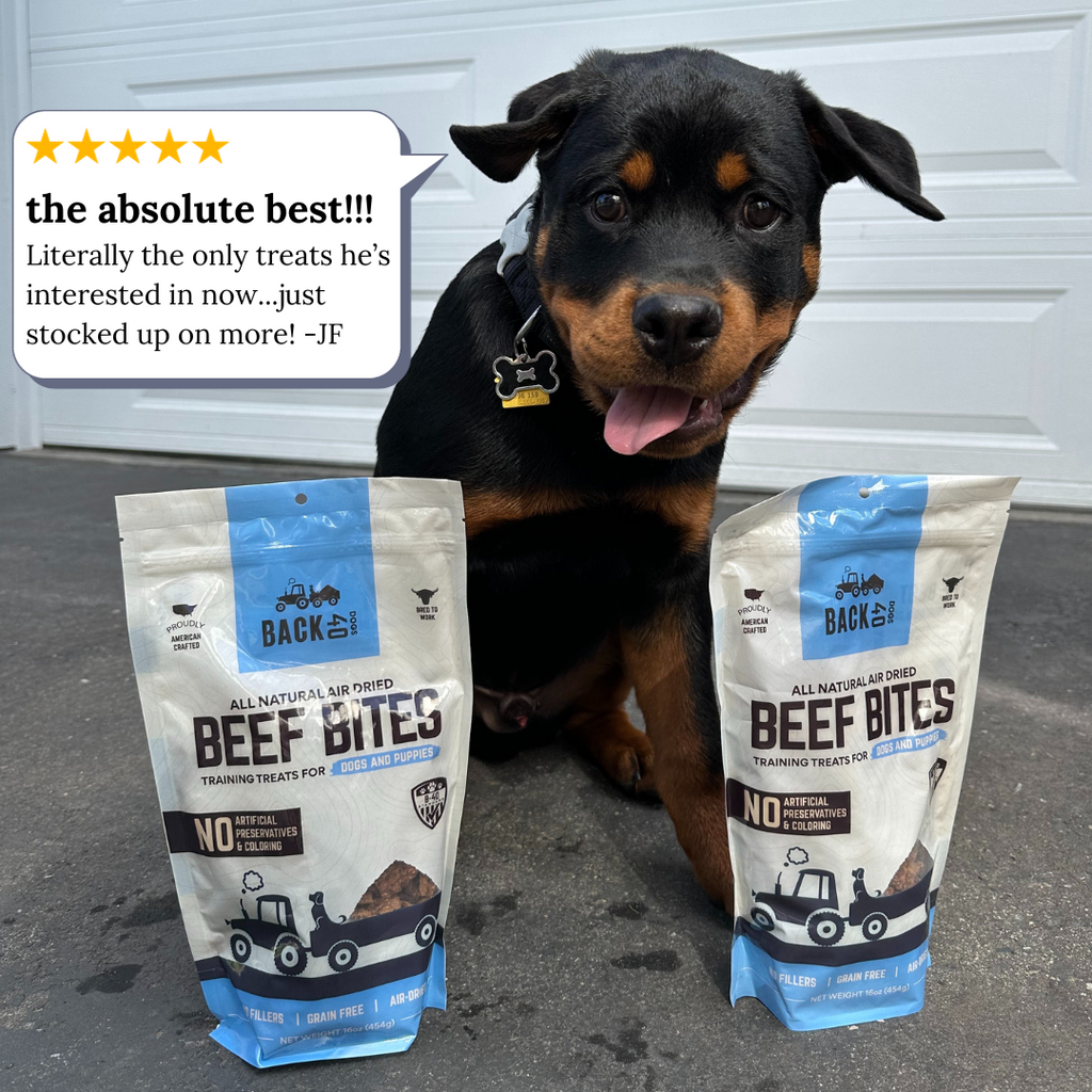 BEEF BITES
