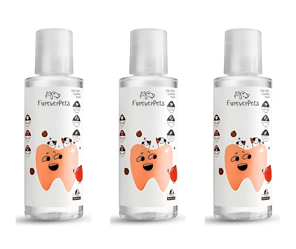 Protect your dog from Gum Disease and Dental Emergencies with FureverPets